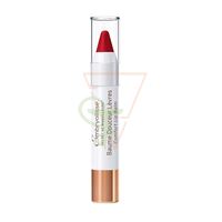 EMBRYOLISSE  - Artist secret Comfort Lip Balm RED